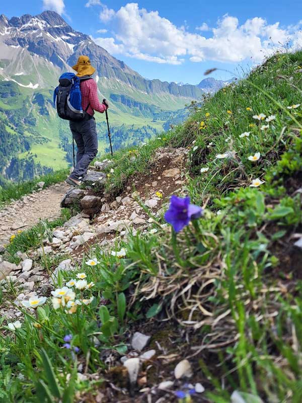 Wandern in den Alpen
